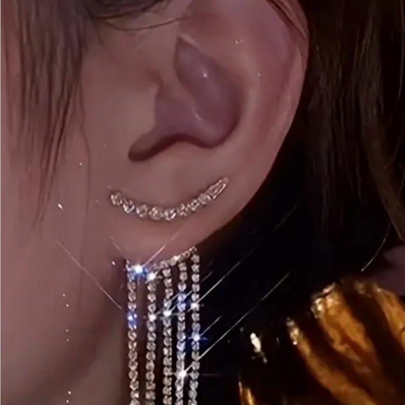 Elegant Silver Dangle Earrings - Picture 2 of 3